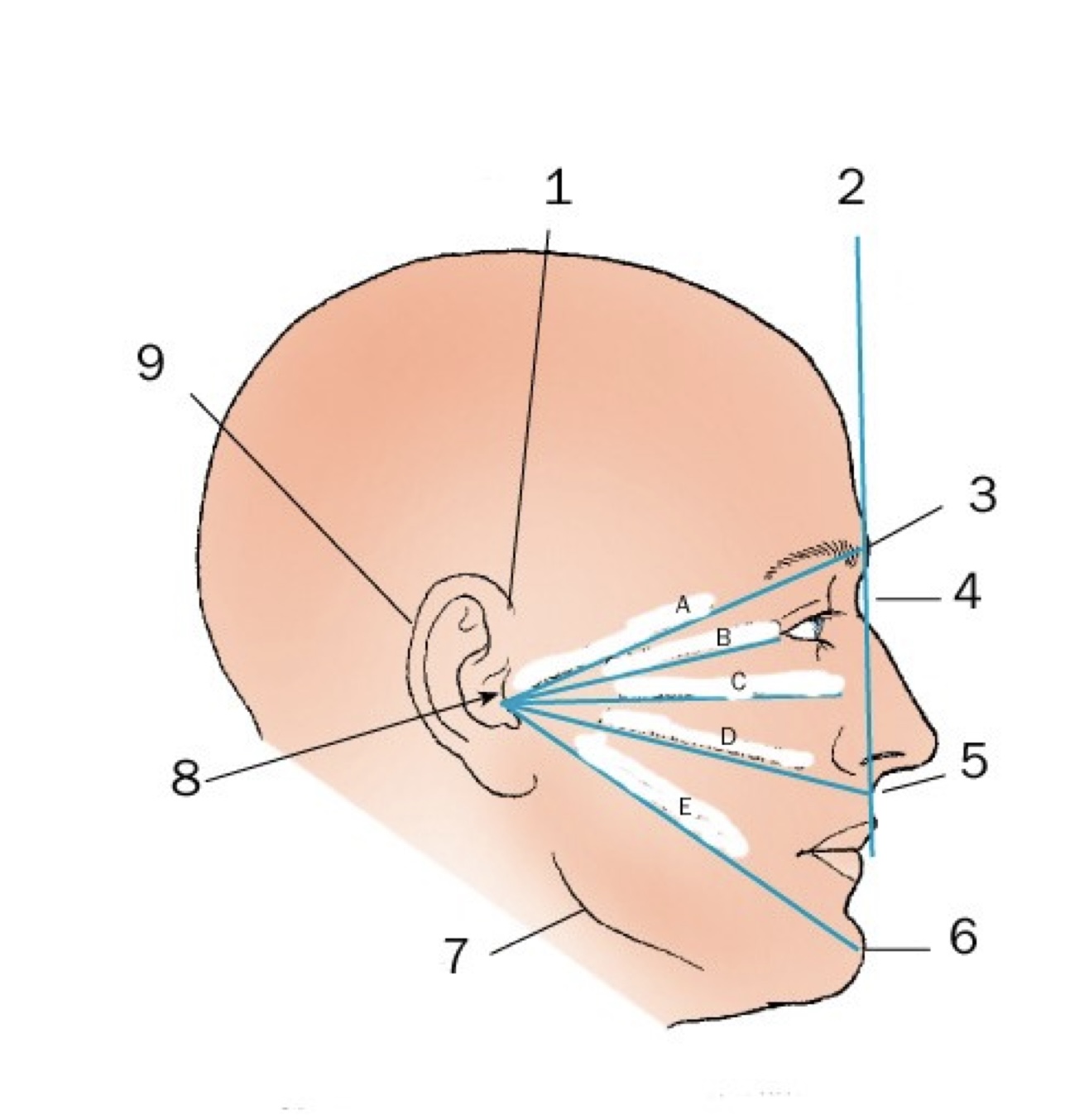 <p><span>What is number 7</span></p>