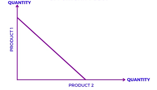 <p>What graph is this</p><p></p>