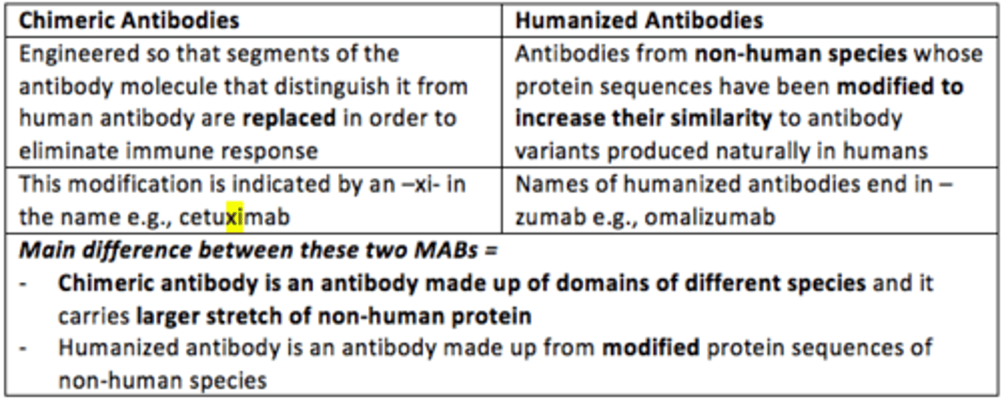 <p>- Chimeric antibody is an antibody made up of domains of different species and it carries larger stretches of non-human protein </p><p>- Humanized antibody is an antibody made up from modified protein sequences of non-human species </p>