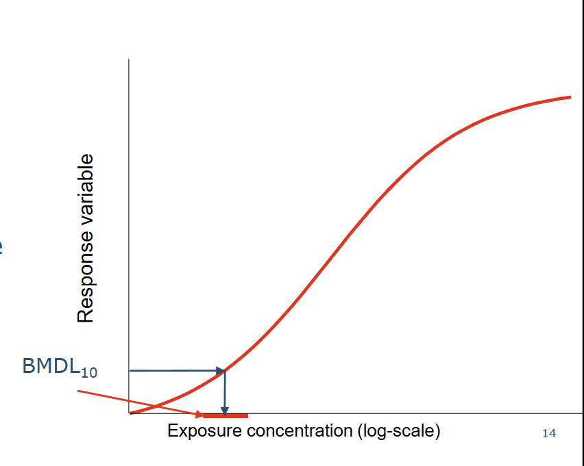 <p><span><strong>On the graph (Slide 15):</strong> The BMDL10 is identified on the dose-response curve. The MOE compares this benchmark dose to the actual estimated exposure. Because of the assumption of linearity (no threshold) for genotoxic effects, the curve doesn't flatten out at low doses like it might for non-genotoxic effects.&nbsp;</span></p>