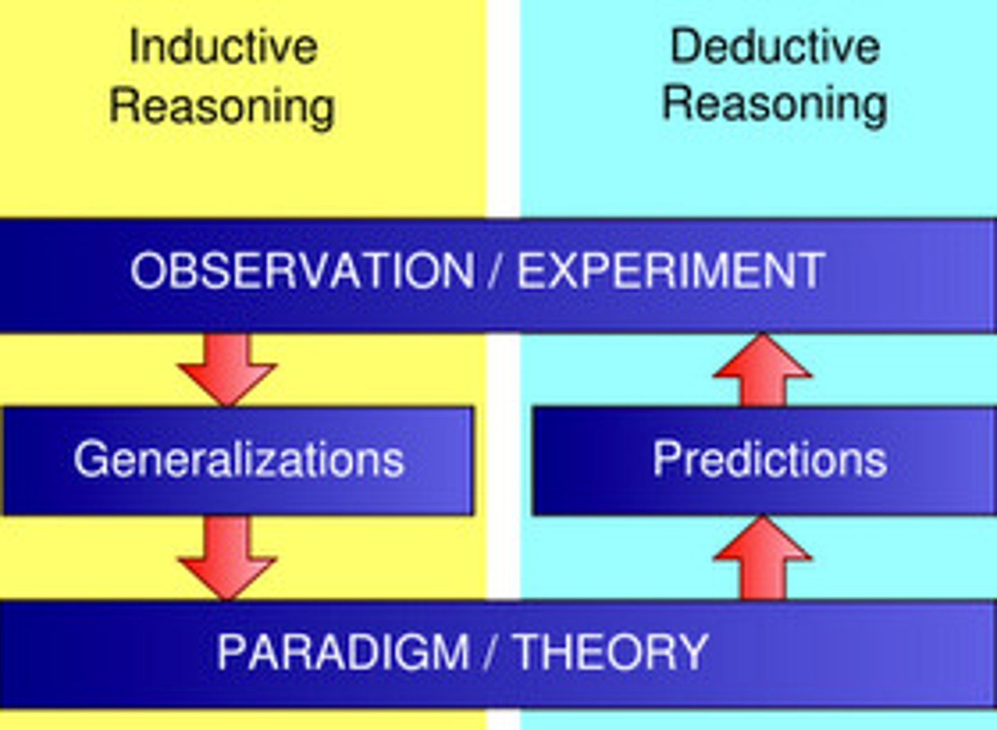<p>A method of reasoning in which a number of specific facts or examples are used to make a generalization.</p>