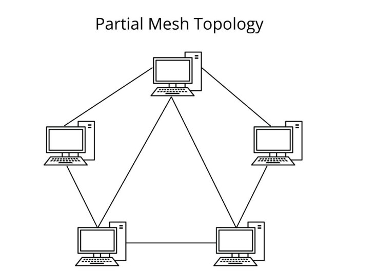 <p>some nodes are organized in a full mesh scheme while others are only connected to one or two devices in the network</p>
