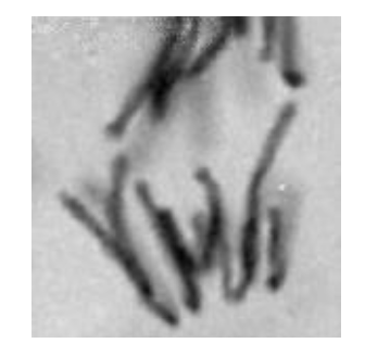 <p>Wat is dit?</p>