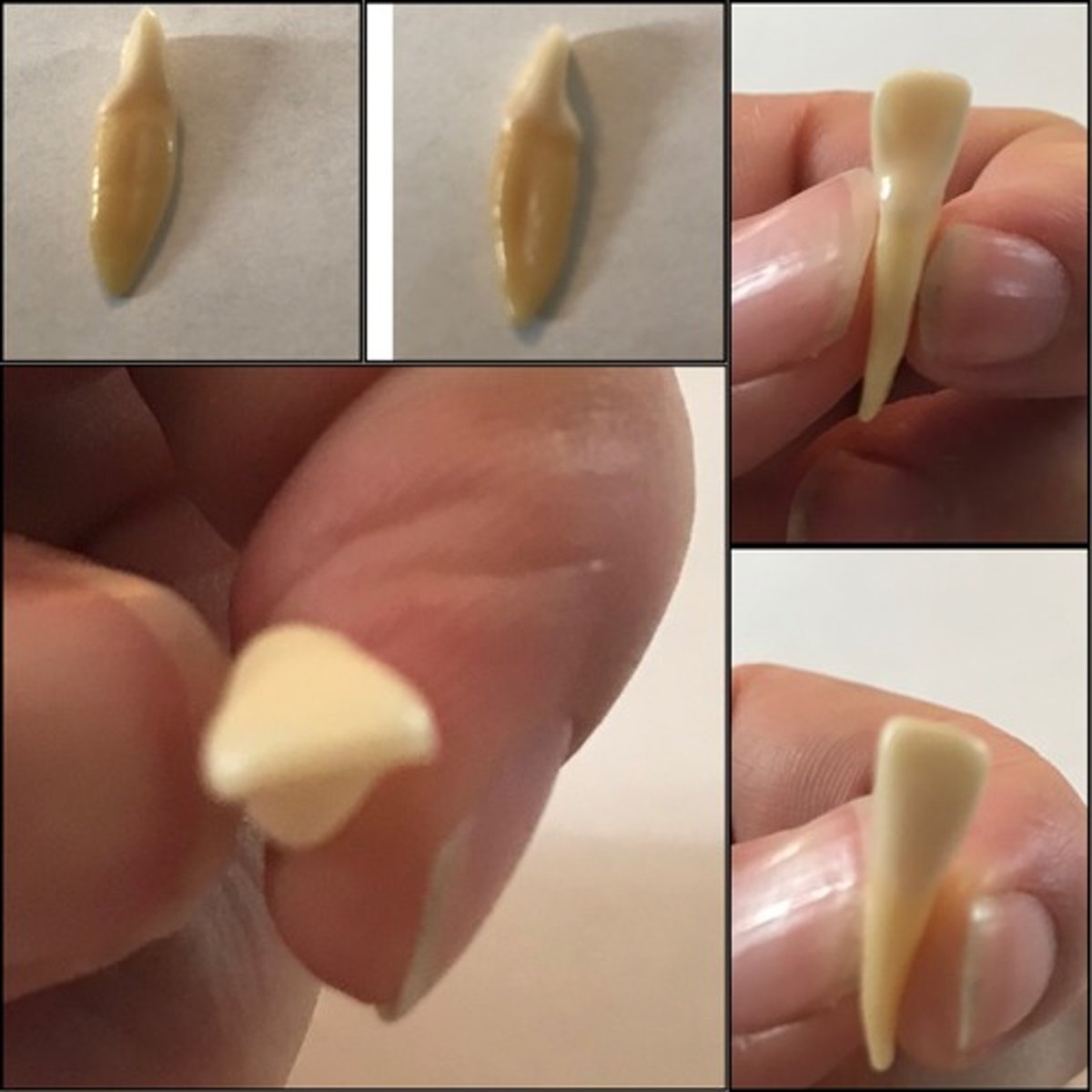 <p>What tooth is this ?</p>