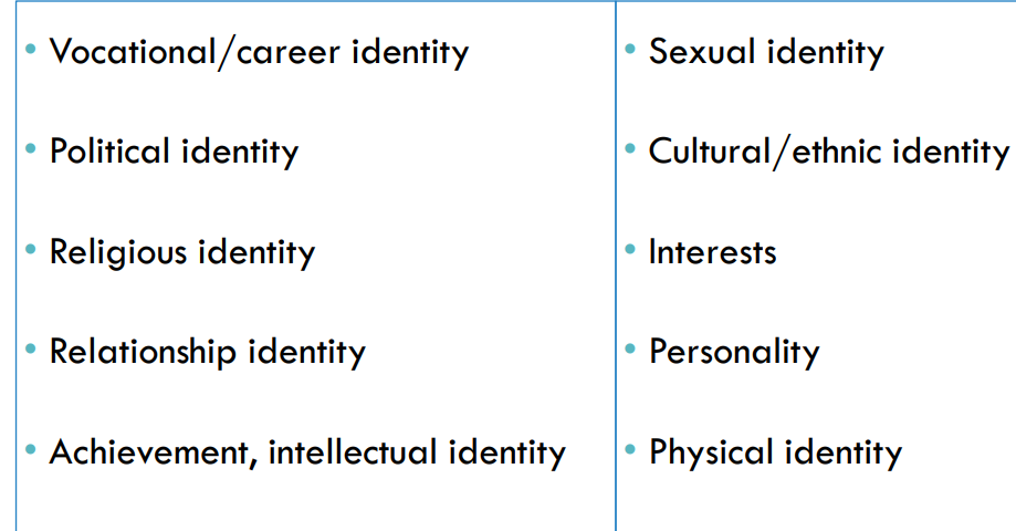 <ul><li><p class="">Adolescents explore many of these roles to form a stable and <strong>integrated identity</strong>.</p></li><li><p class="">Struggles or conflicts in any one area (e.g., cultural or sexual identity) can affect overall self-esteem and development.</p></li><li><p class="">These identities are <strong>interconnected</strong>, but each may develop at its own pace.</p></li></ul><p>People chose what roles are most important to them based on how central it is to who they are </p>