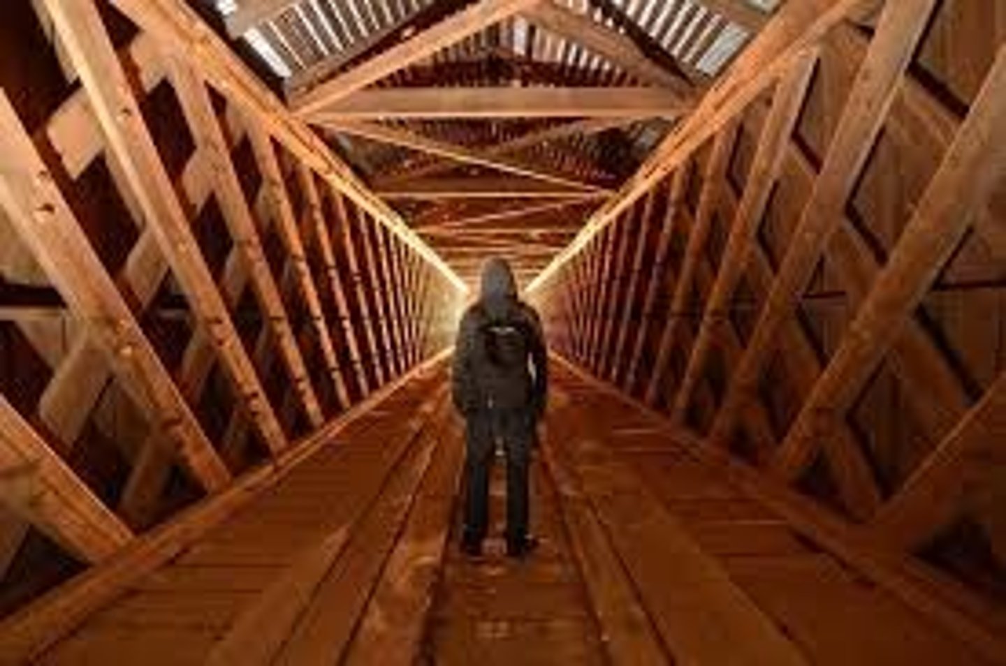 <p>Lines on the picture plane that emphasize an element by pointing to it.</p>