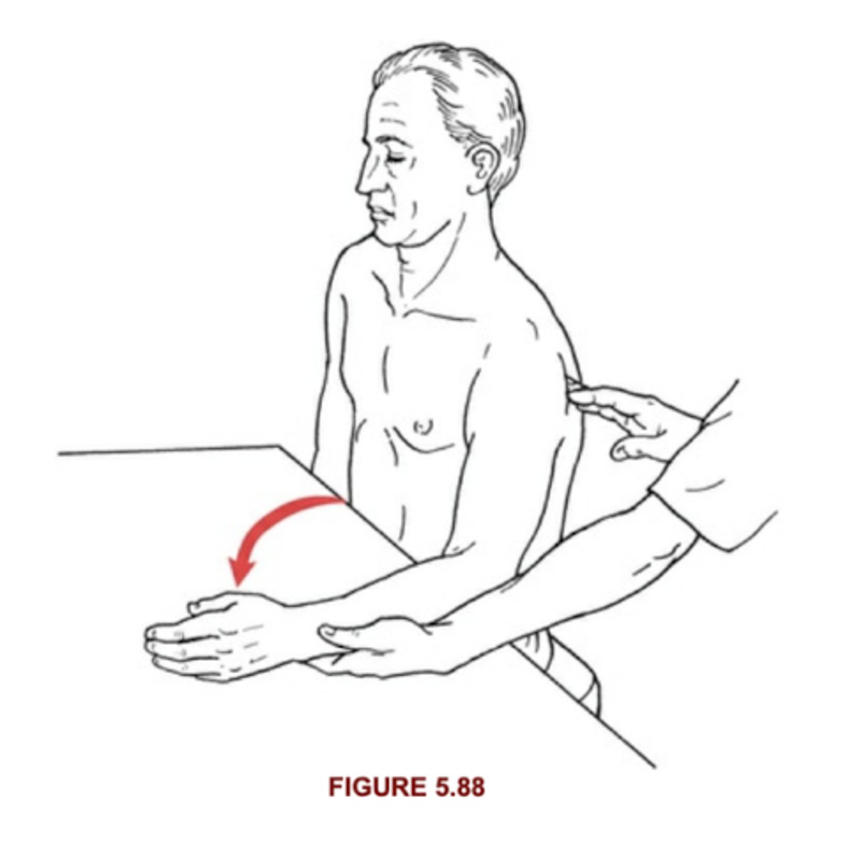 <p>Seated with weight supported, Completes ROM in gravity eliminated</p>
