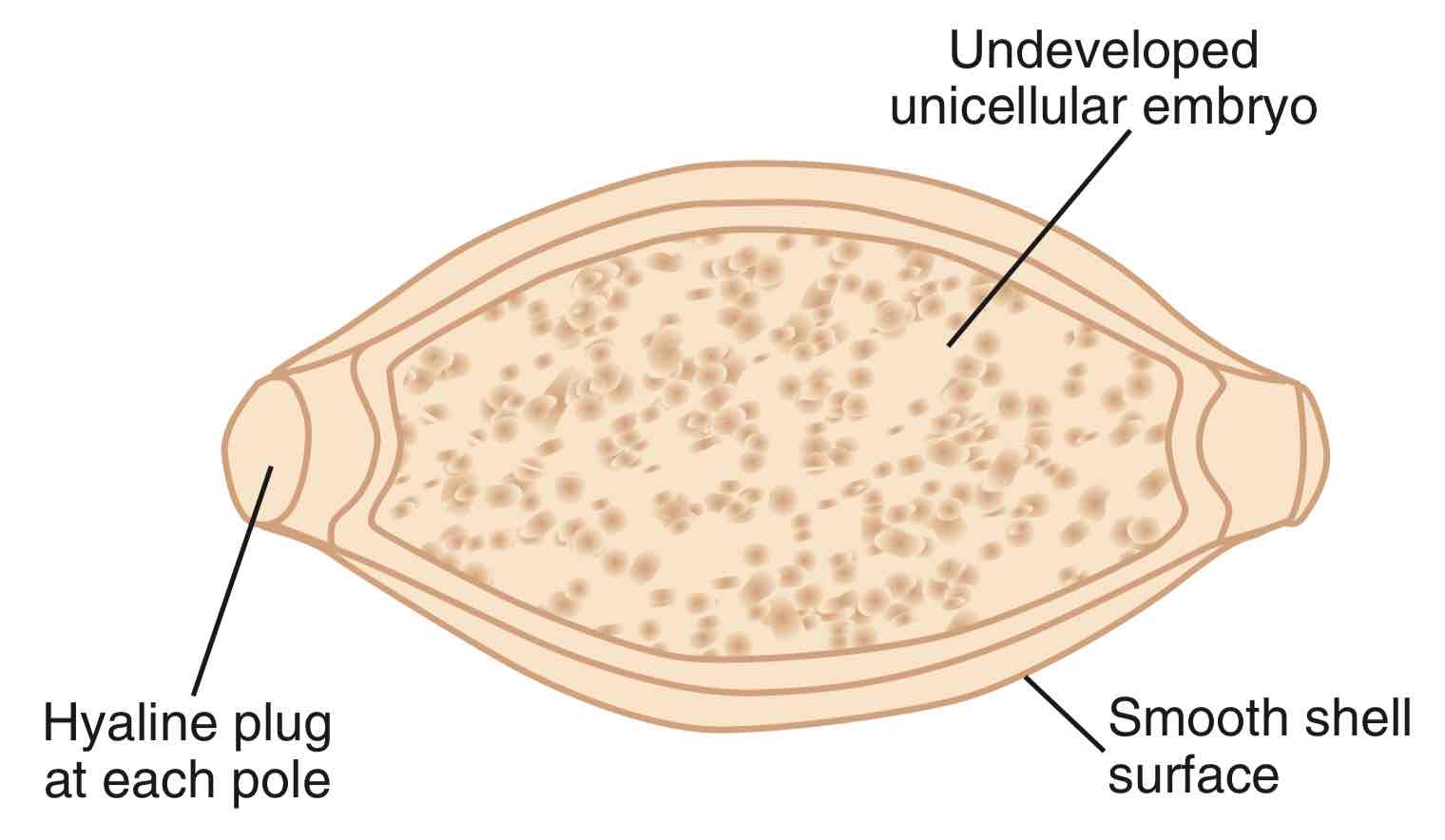 <p></p>