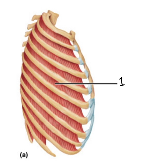 <p>1</p>