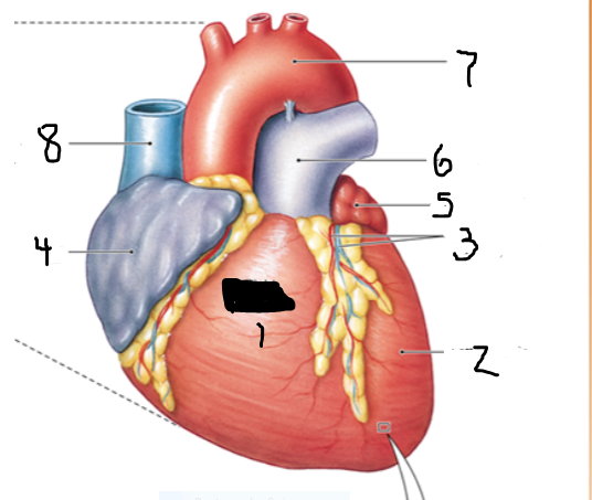 <p>8 refers to </p>