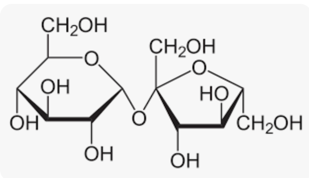 <ul><li><p>a(1—&gt;2)</p></li><li><p>Non-reducing sugar</p></li><li><p>Bond between Glucose and Fructose </p></li></ul><p></p>