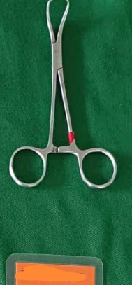 term image