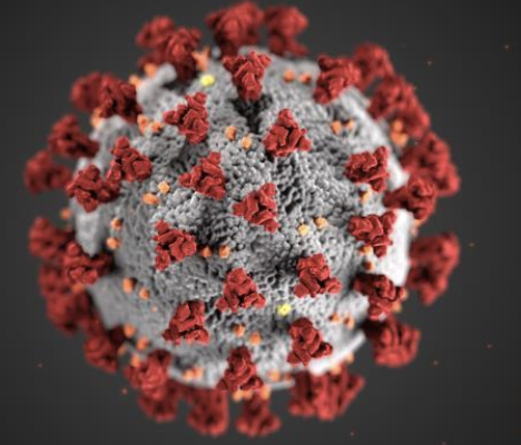 <p>surface of virus is structured to interact with surface of human cell, (glycoprotein: protein with carbs on them_, interact with red blood cells causing them to clump</p>