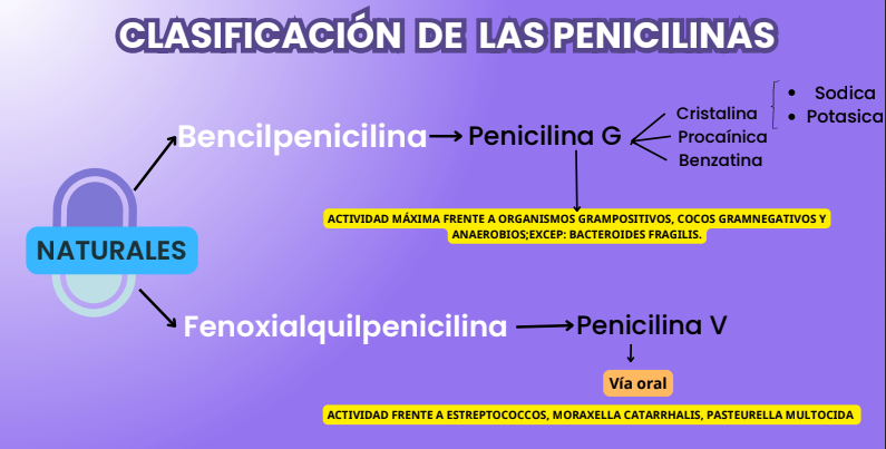 <p>Clasificación de penicilinas, aquí te muestro las naturales y tú describe las semisintéticas</p>