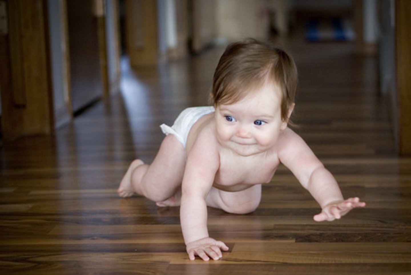 <p>(v) to move on your hands and knees</p>