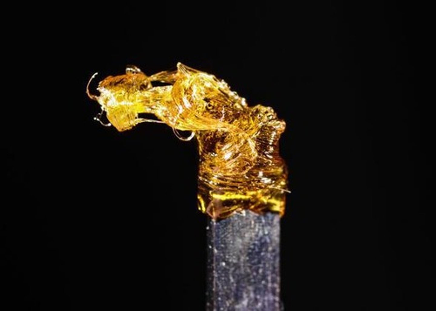 <p>Hashish (dried resin) &amp; hash oil (purified and distilled hashish).</p>