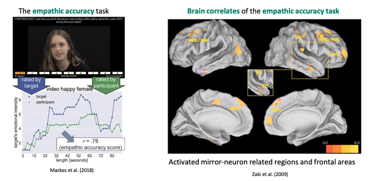 <ul><li><p>participants <span><span>watched videos of emotional story and rated how emotional the person was while telling their emotional story</span></span></p><ul><li><p><span><span>Can tell how emotional people are</span></span></p></li></ul></li></ul><p></p><p>brain correlates of the empathic accuracy task shows repeated patterns </p><p></p>