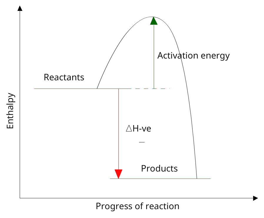 <ul><li><p>lose energy</p></li><li><p>bond making</p></li><li><p>combustion of fuel</p></li></ul><p></p>