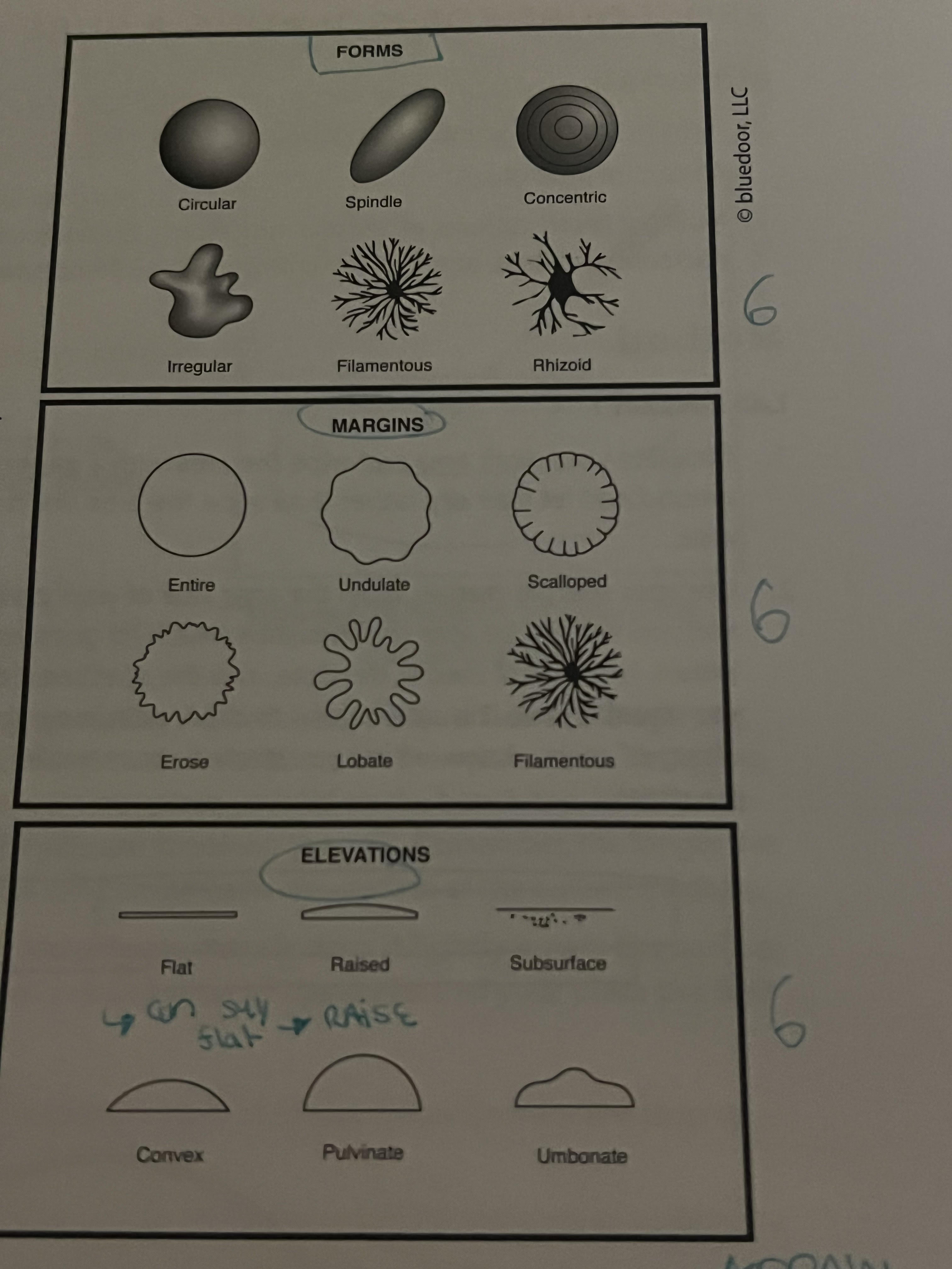 <p>6 <strong>forms</strong> known as what?</p>