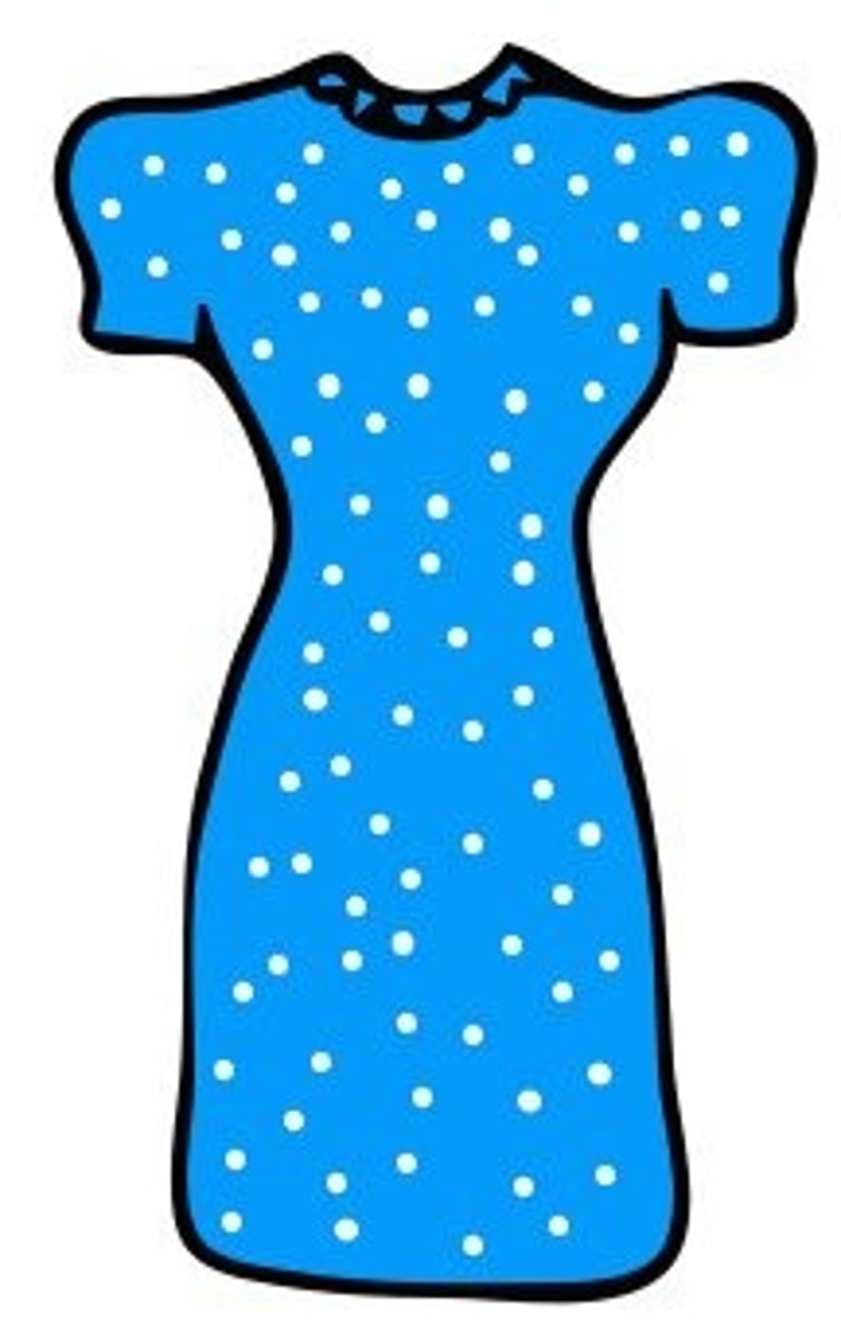 <p>dress</p>