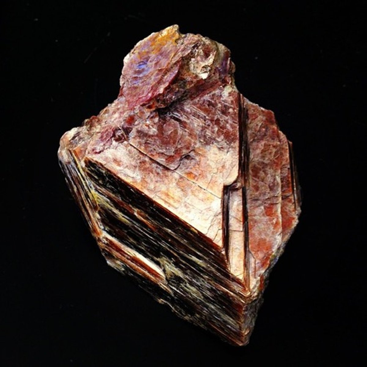 knowt flashcard image