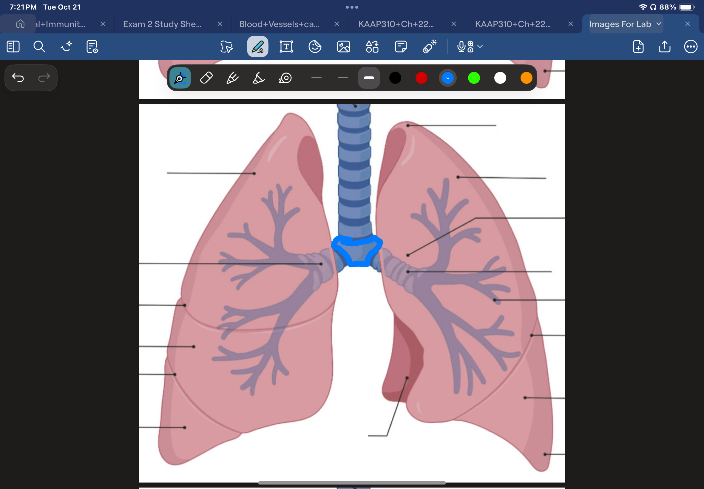 knowt flashcard image