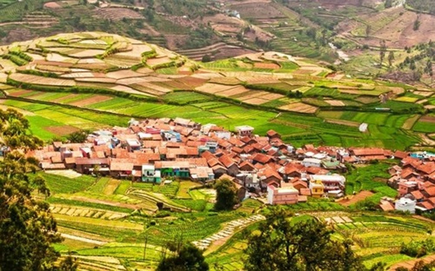 <p>clustered rural settlement inhabited by people who are engaged in farming.</p>