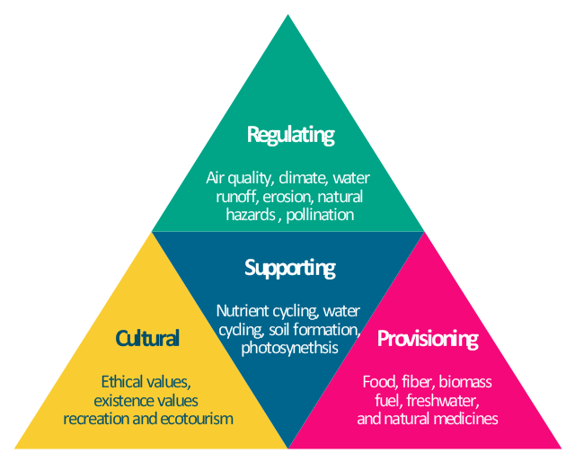 <p>Ecosystem services </p>