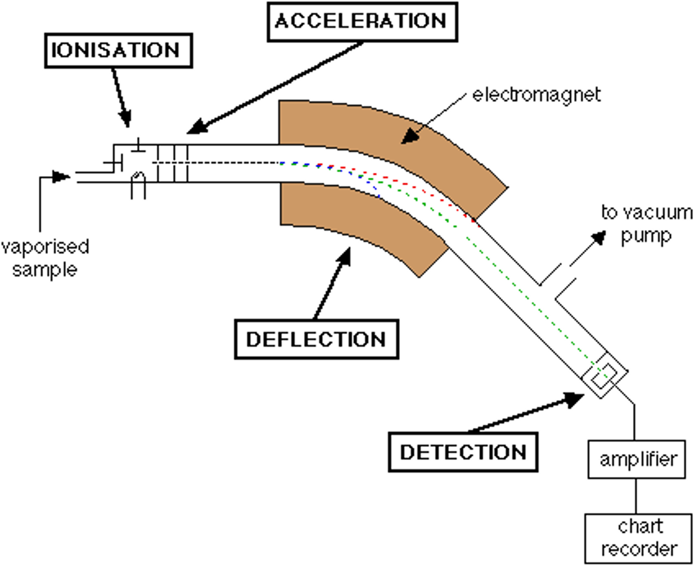 <p>particles are separated based on mass by a magnetic field</p><p>sample gets heated to turn into gas</p><p>hit by an electron beam, knocking off some electrons (+)</p><p>1st electric plate is (+), 2nd is (-), pulling the sample forward and accelerate</p><p>sample hits magnetic field where they deflect based on their mass</p><p>lightest particles deflect most</p><p>detection plate coated in phosphorescent material (lights up when particles hit it)</p>