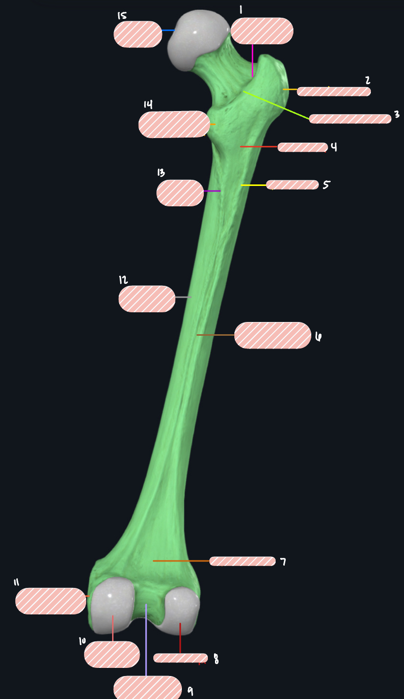 <p>Label 4</p>