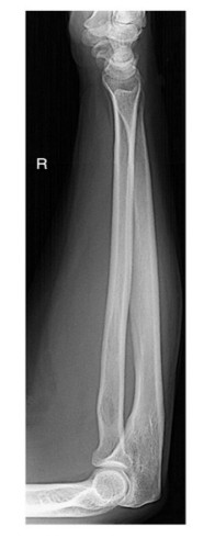 <p>Evaluation criteria </p>