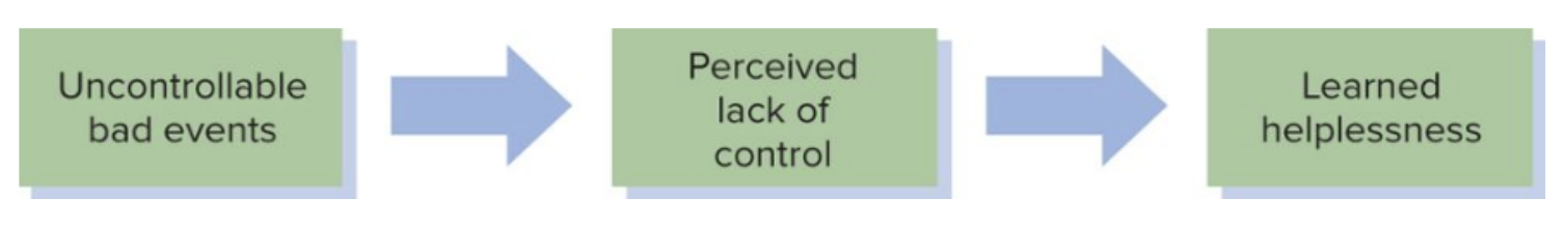 <p>Occurs when an individual feels like they have no control over negative events and therefore become passive (ie. they don’t try and prevent the neg. outcome — they just leave it). </p>