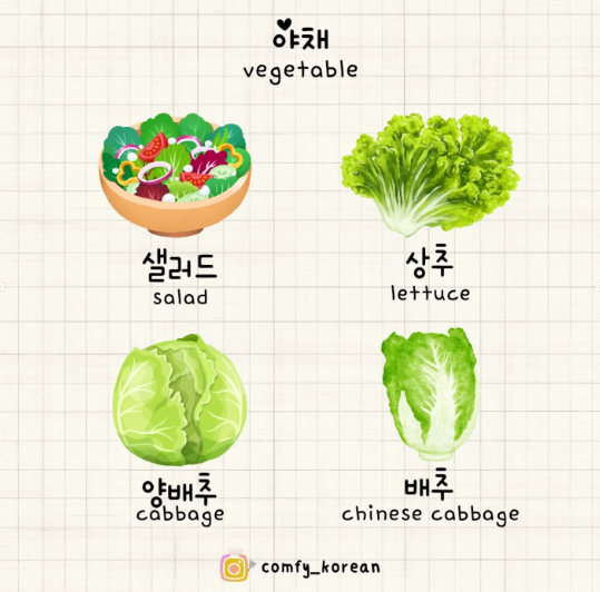 <p>한국 요리에 자주 사용되는 채소로, 특히 김치와 국물 요리에 흔히 쓰인다. 배추는 단단하고 두텁고 선명한 녹색 잎을 가지고 있다. </p>