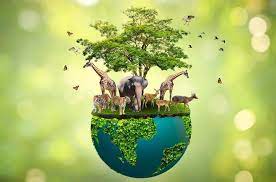 Conservation	