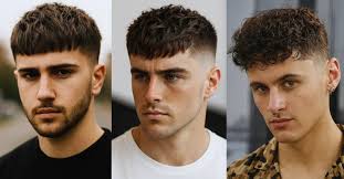 <p><strong>fringe</strong></p>