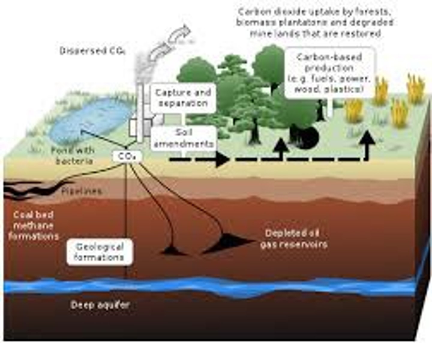 <p>The process through which agricultural and forestry practices remove carbon dioxide (CO2) from the atmosphere.</p>