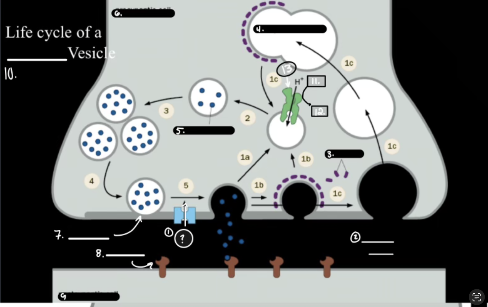 <p>What is 8</p>