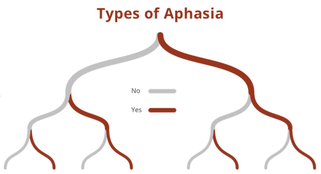 <p>Wat zijn de drie vragen waar telkens ja en nee op geantwoord moet worden?</p><p>Wat zijn de acht typen afasie van links naar rechts?</p>