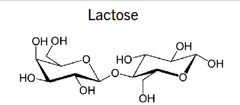 <p>glucose + galactose (B 1→4)</p>