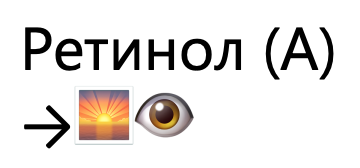 <ul><li><p>для сприйняття світла (зір)</p></li></ul><p></p>