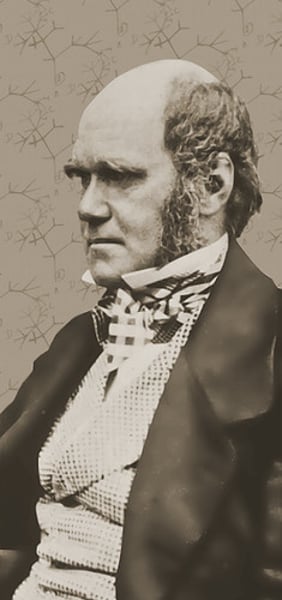 <p>English naturalist. He studied the plants and animals of South America and the Pacific islands, and in his book On the Origin of Species by Means of Natural Selection (1859) set forth his theory of evolution.</p>