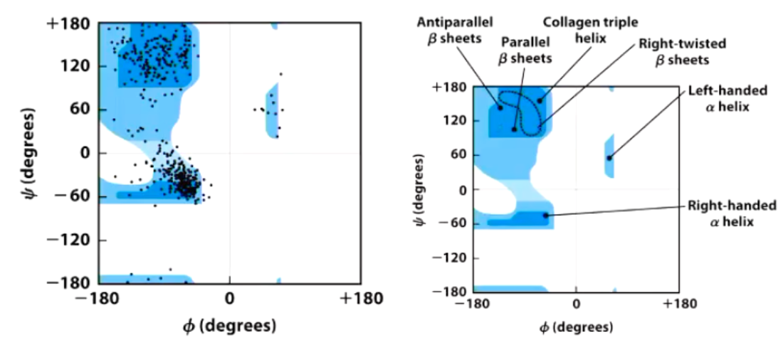 <p>Ramachandran Plot</p>