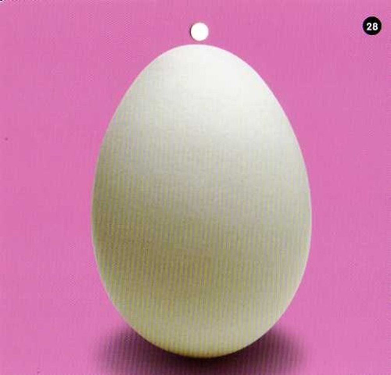 <p>female gametangia</p>