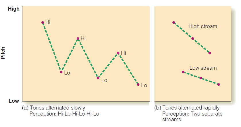 <p>segregation into high and low streams </p>