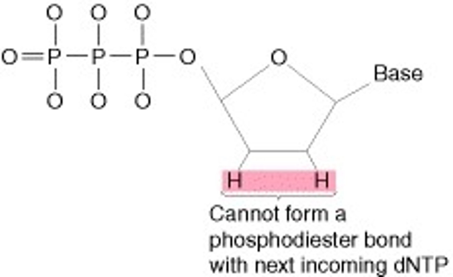 <p>Missing a hydroxyl group (-OH)</p>
