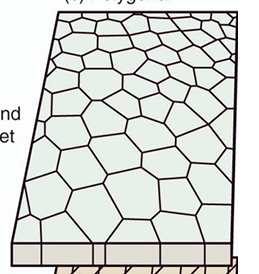 <p>form in a rock without previous fractures</p>