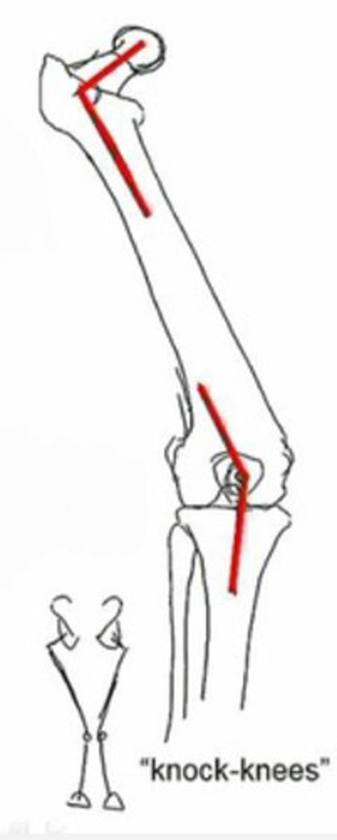 <p>What does this image show?</p>