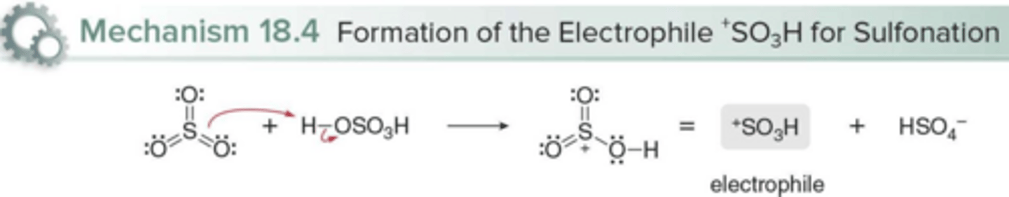 <p>SO₃H⁺; Protonation of sulfur trioxide (SO₃)</p>