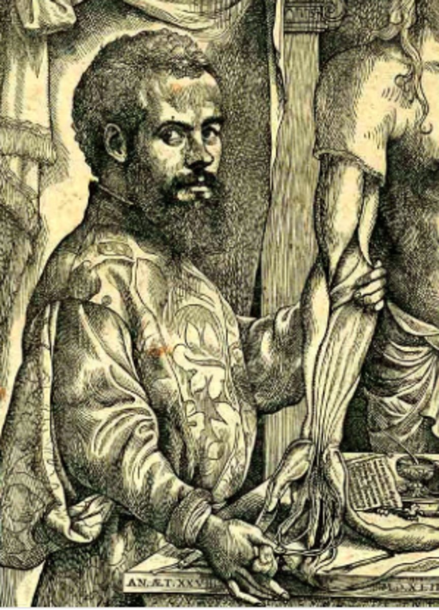 <p>Dutch (still under the control of Spain) anatomist who broke with Church tradition and studied anatomy through dissection.</p>