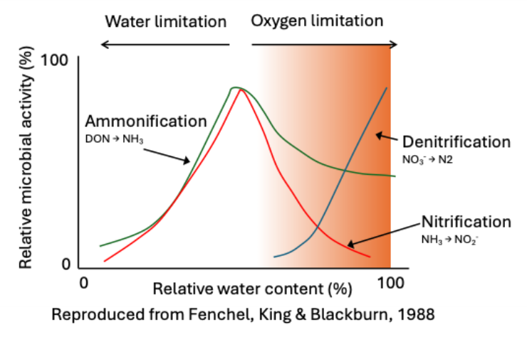 <ul><li><p>Solid aqueous phase and gas phase in soil</p></li><li><p class="MsoListParagraphCxSpMiddle">Wet soils have trouble diffusing oxygen</p></li><li><p class="MsoListParagraphCxSpMiddle">Dry soils have problems diffusing nutrients</p></li><li><p class="MsoListParagraphCxSpLast">Very dry soils limit microbial activity as they need water for metabolism</p></li></ul><p></p>